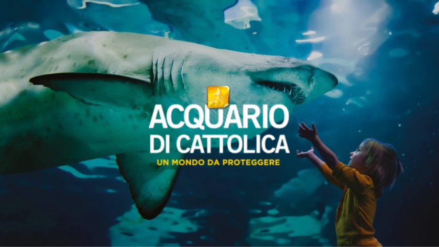 acquario cattolica con logo