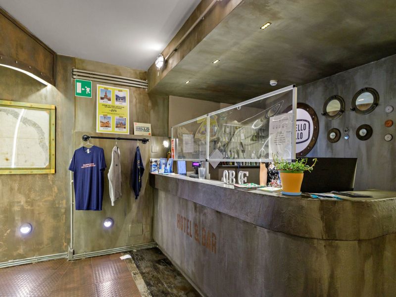 britannia reception