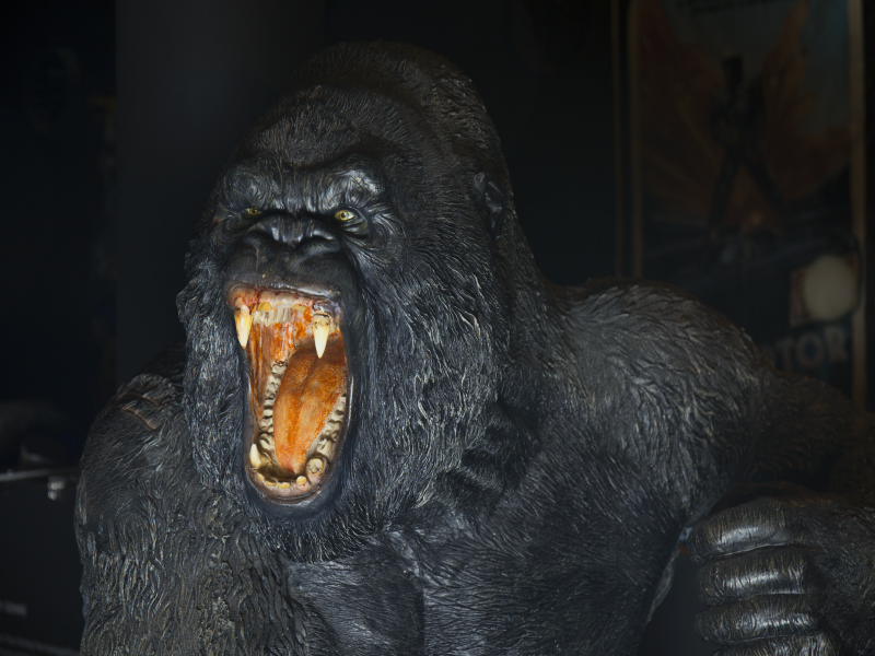 king kong