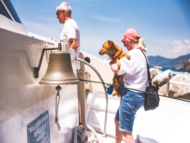 tour giornalieri cane