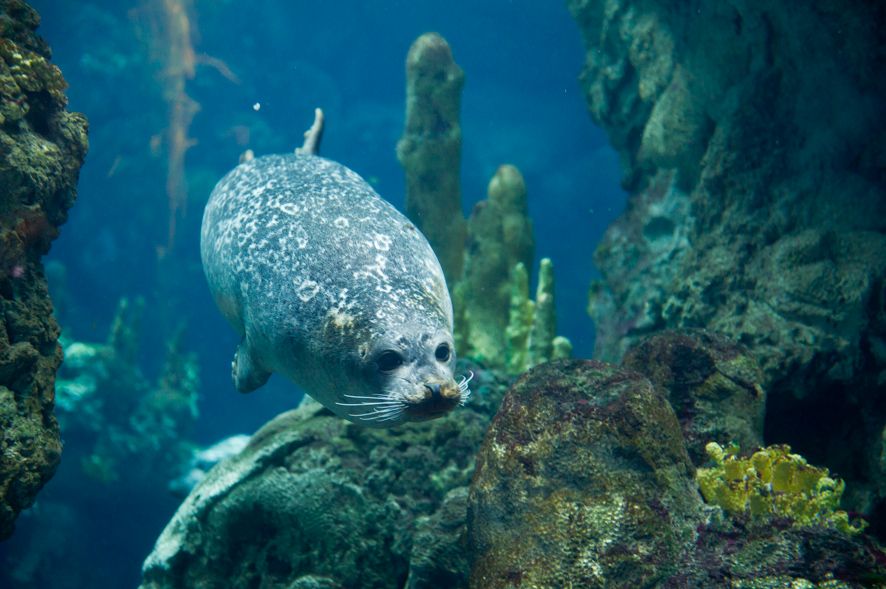 adg ph merlofotografia 120620 7450