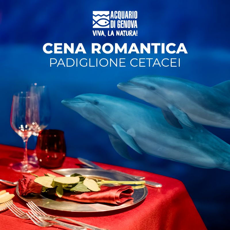 010 26 san valentino 800x800