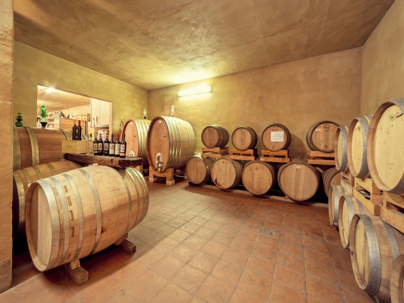 fattoria corsignano cantina