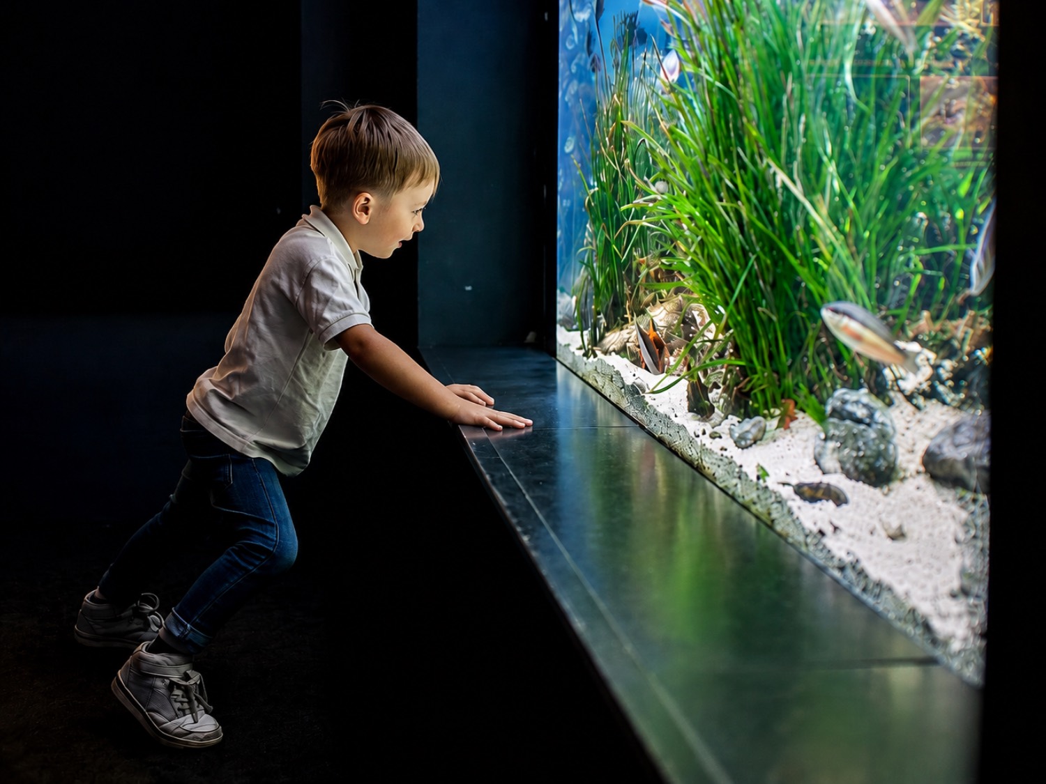 bambino acquario di genova