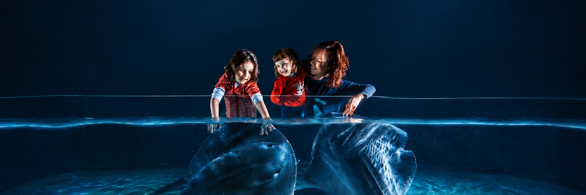 header acquario di cattolica