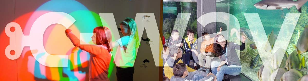 foto testata scuole