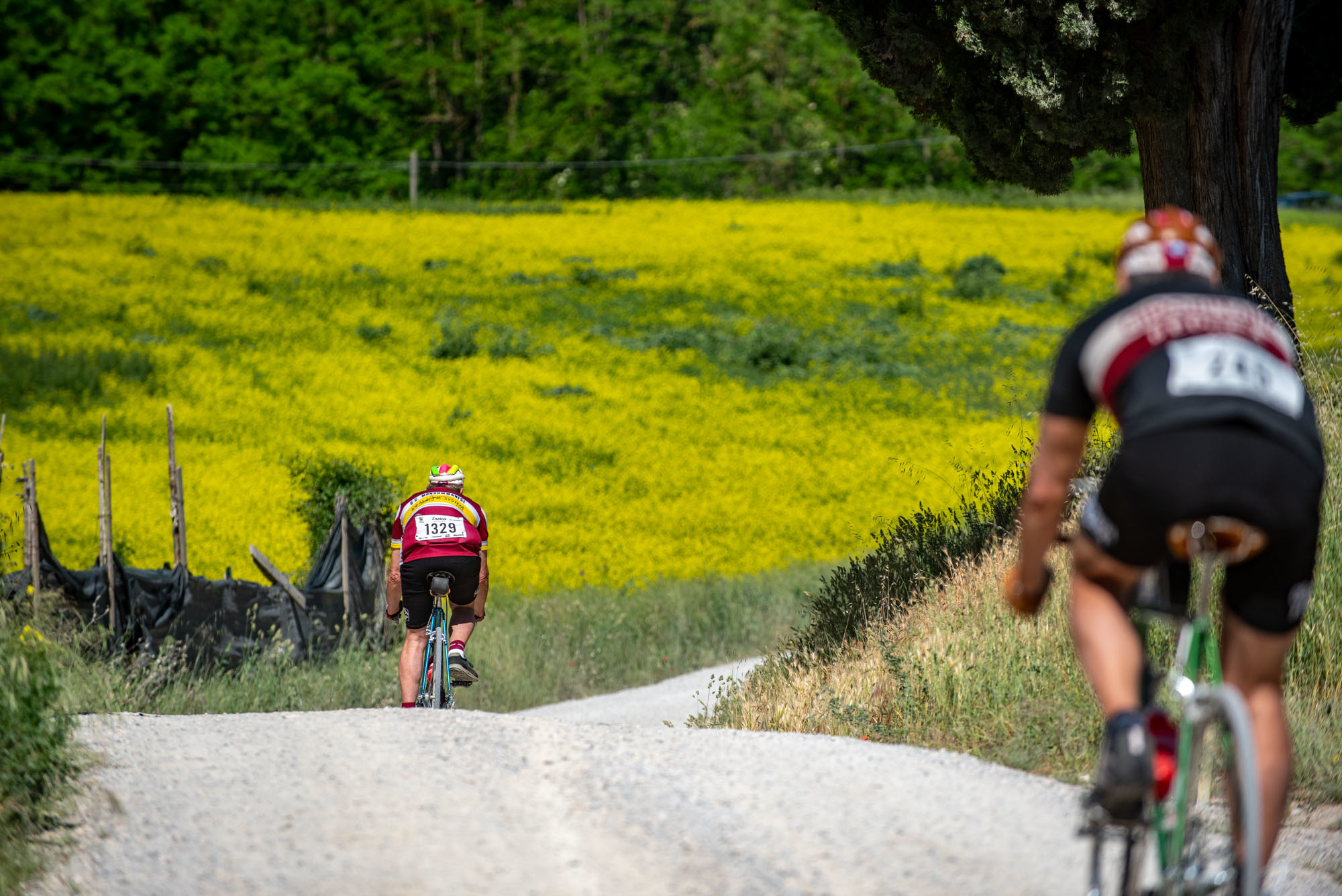 eroica montalcino 03