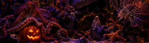 32a060c2 8ccf 4288 8812 c8ef0606276f 1